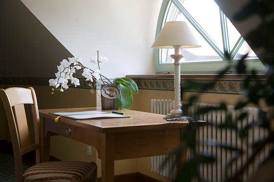 Schloss Hotel Dresden-Pillnitz - photo 3