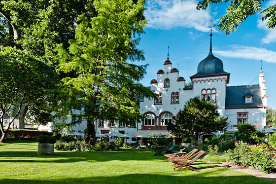 Hotel Kronenschlösschen - photo 8