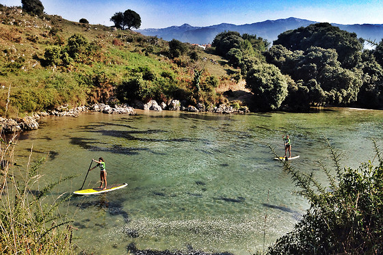 ESCUELA ASTURIANA DE SURF - photo 1