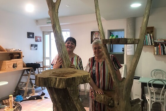 Ronron et gourmandises - photo 5