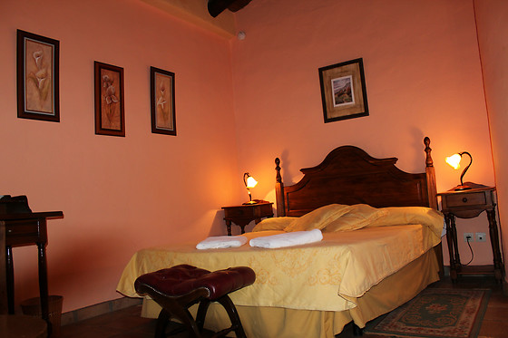 HOTEL RURAL LOS JARALES - photo 6