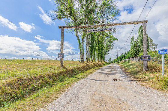 Absa-Ranch - photo 7