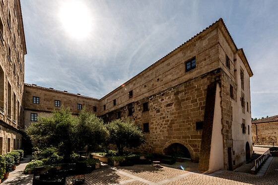 HOSPES PALACIO DE SAN ESTEBAN - photo 13