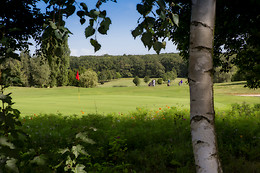 Ugolf Metz Cherisey