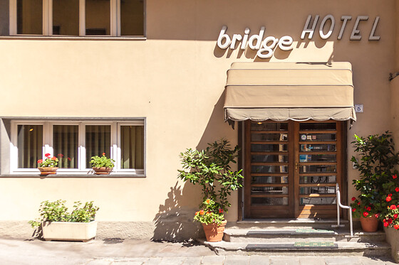 Bridge Hotel - photo 2