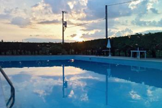 Hotel Turim - photo 4