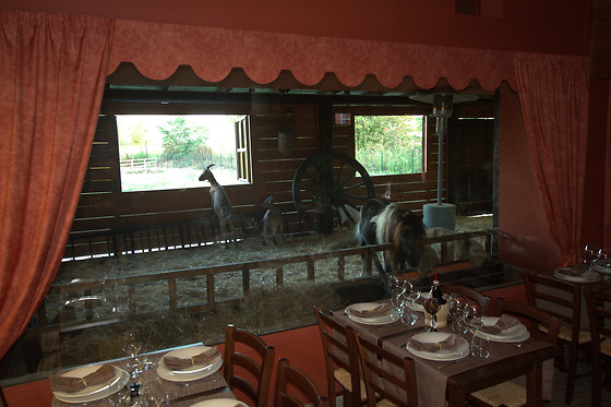 Tenuta del Vecchio Mulino - photo 18