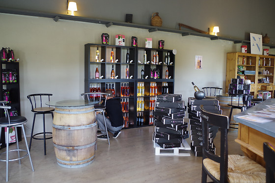 Chateau de Nestuby - photo 1