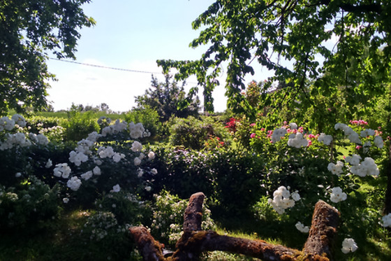 B&B Villa Albertina - photo 7