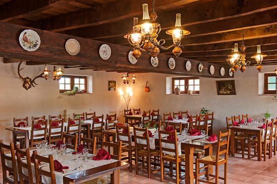 Ferme auberge des pirodelles - photo 11
