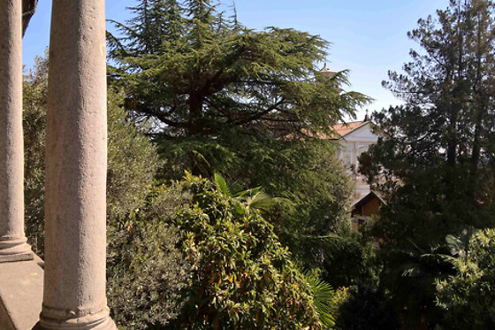 B&B Villa Magnolia - photo 5