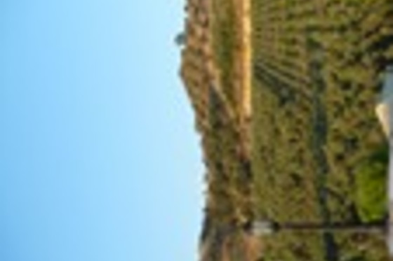 Agri-Club - photo 9