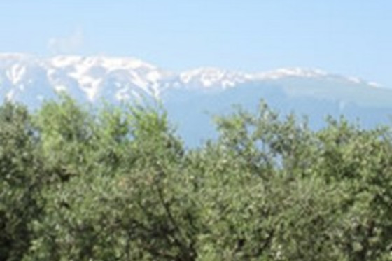 Agriturismo Montupoli - photo 4