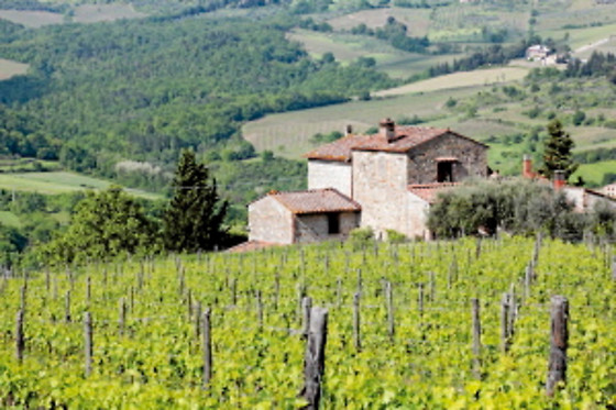 Agriturismo La Collina delle Streghe - photo 10