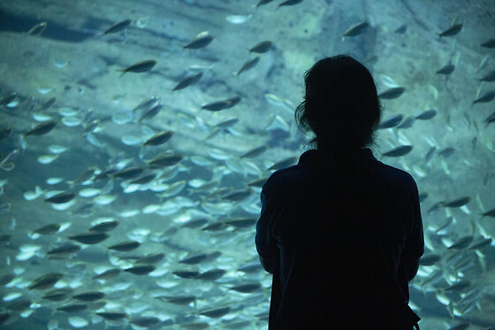 Aquarium de Paris - photo 16