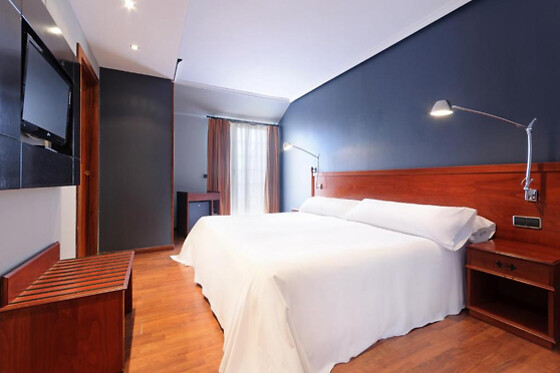 HOTEL SEGOVIA SIERRA DE GUADARRAMA - photo 4