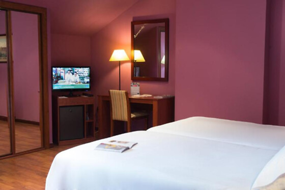 HOTEL SEGOVIA SIERRA DE GUADARRAMA - photo 14