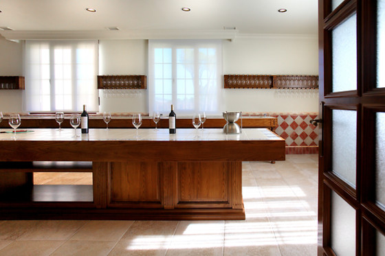 BODEGA FINCA VILLACRECES & BODEGA IZADI - photo 11
