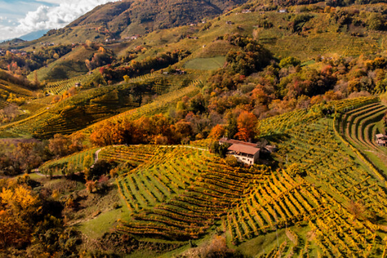 Spumanti Gemin - photo 5