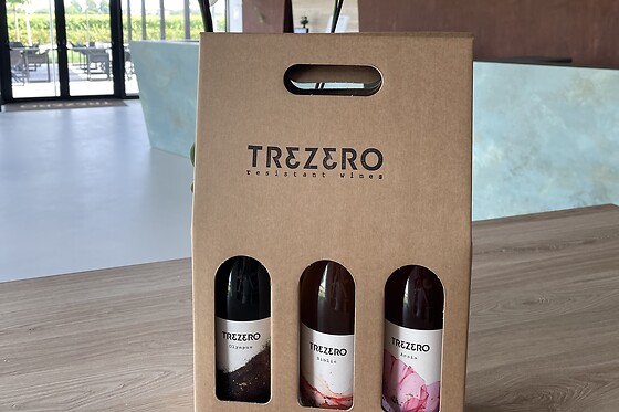 Cantina TreZero - photo 7