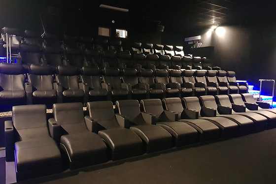 Cinéma Wellington - photo 3