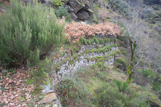 RUTAS XANZÁ - photo 19