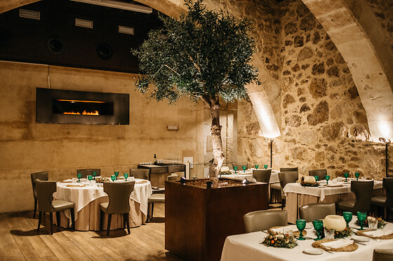 HOSPES PALACIO DE SAN ESTEBAN - photo 5