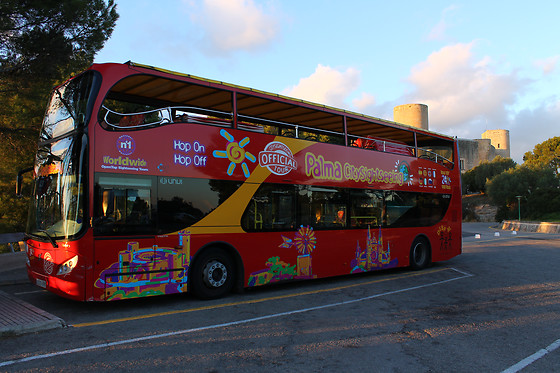 CITY SIGHTSEEING PALMA DE MALLORCA - photo 4