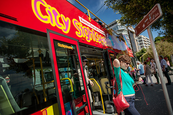CITY SIGHTSEEING SANTA CRUZ DE TENERIFE - photo 8