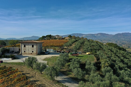 Az.Agricola Rabasco - photo 0