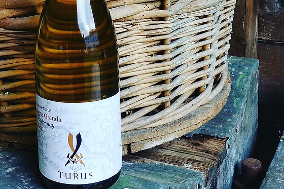 Cantina Turus - photo 4