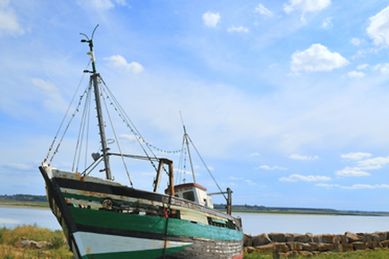 RIO A DENTRO - NATUREZA - photo 3