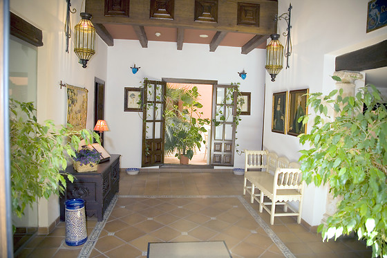 HOTEL PALACIO LAS MANILLAS - photo 10