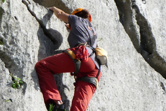 ALPINE PROJECT - photo 7