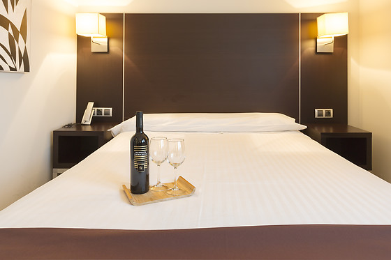 HOTEL PLAZAOLA - photo 0