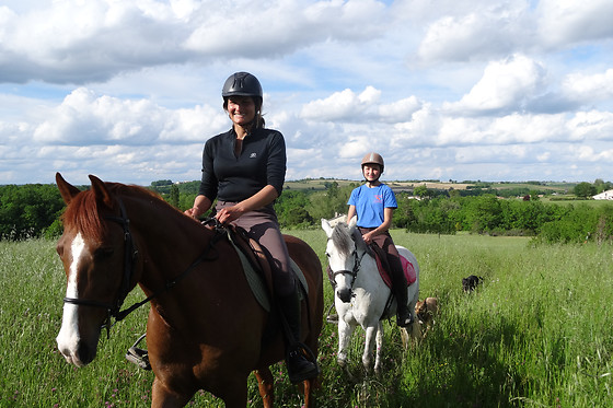 Un Poney, une histoire - photo 5