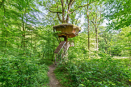 L'Arbre à Cabane