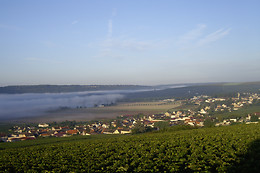 Champagne Pierre Laurent