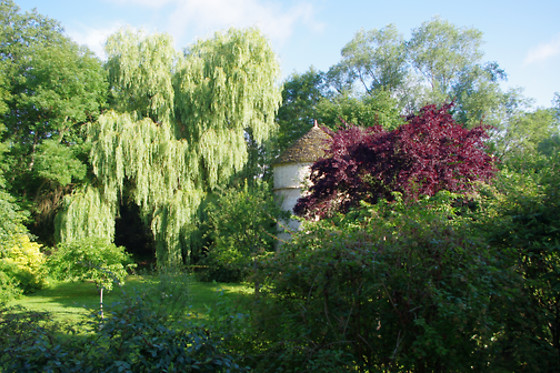 L'écrin du Serein - photo 3