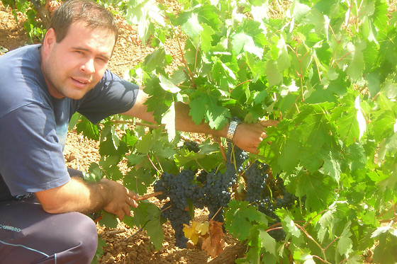 BODEGAS PABLO MORATE - photo 2