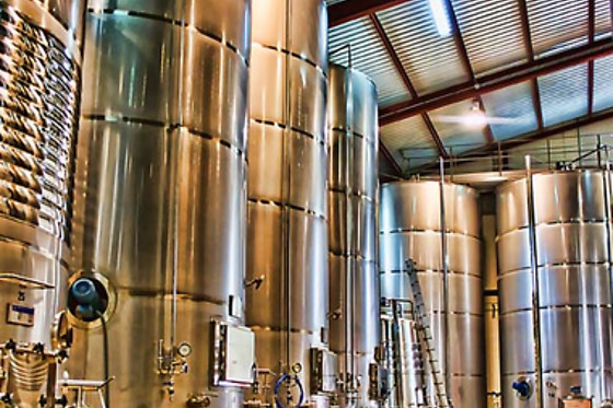 BODEGAS BOCOPA - photo 4
