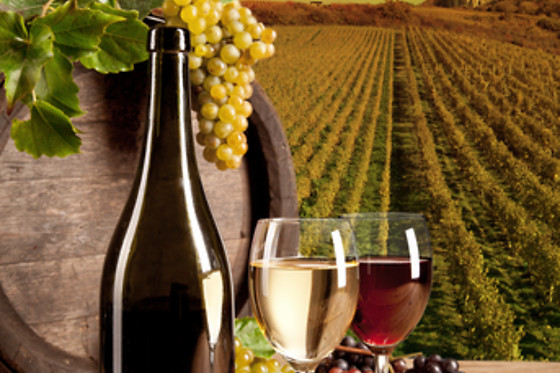 BODEGA GARGALO - photo 3