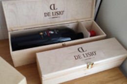 Tenuta De Lisio