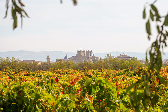 BODEGAS VEGA DEL CASTILLO - photo 1