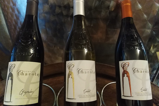 Domaine Charols - photo 1
