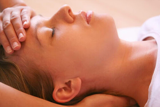 LA CASA DEL ELEFANTE - photo 3
