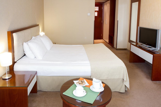 Hill Hotel Sofia - photo 8