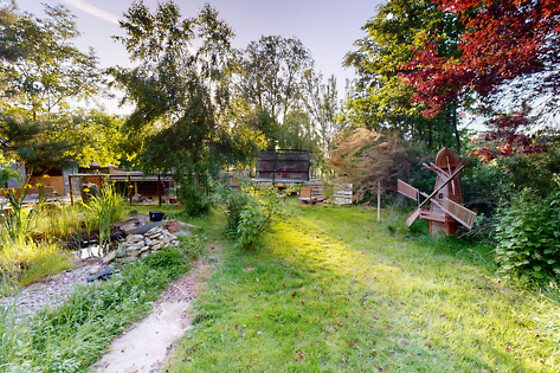 Le Souffle du Saule - photo 53
