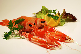 MAS ROMEU RESTAURANT