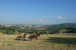 Agriturismo Il Casale